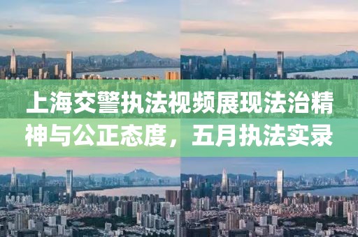 上海交警执法视频展现法治精神与公正态度，五月执法实录