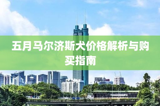 五月马尔济斯犬价格解析与购买指南
