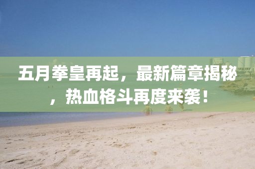 五月拳皇再起，最新篇章揭秘，热血格斗再度来袭！