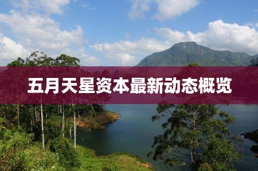 五月天星资本最新动态概览