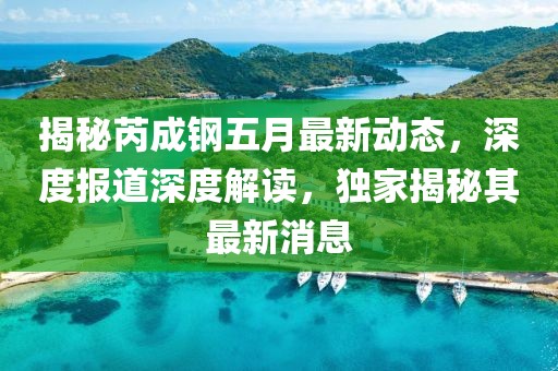 揭秘芮成钢五月最新动态，深度报道深度解读，独家揭秘其最新消息