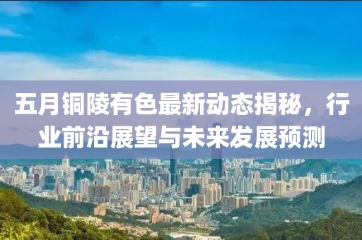 五月铜陵有色最新动态揭秘，行业前沿展望与未来发展预测