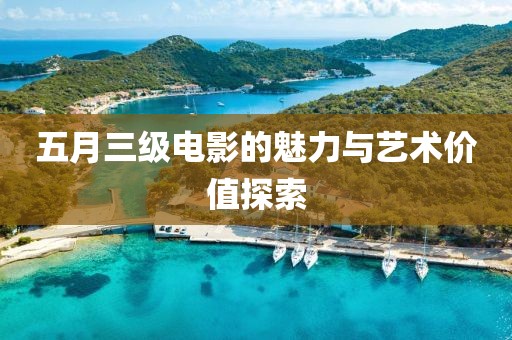五月三级电影的魅力与艺术价值探索