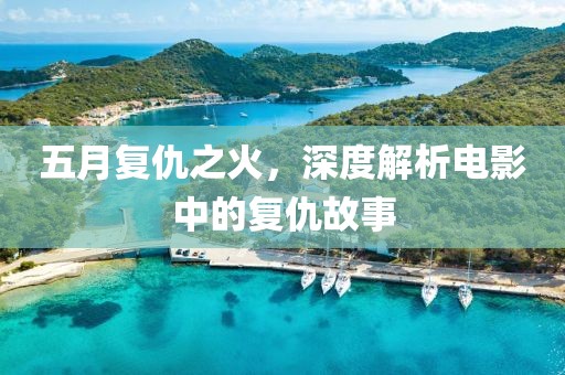 五月复仇之火，深度解析电影中的复仇故事