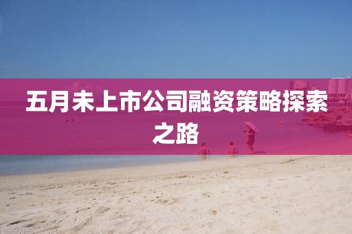 五月未上市公司融资策略探索之路