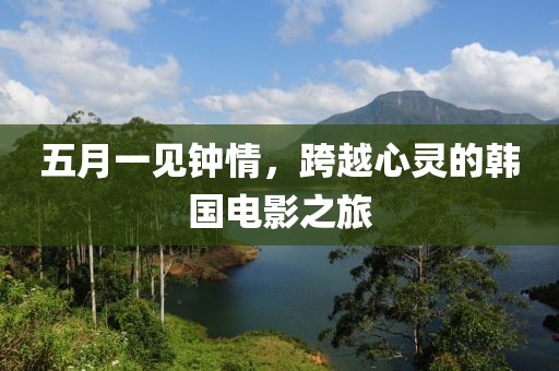 五月一见钟情，跨越心灵的韩国电影之旅