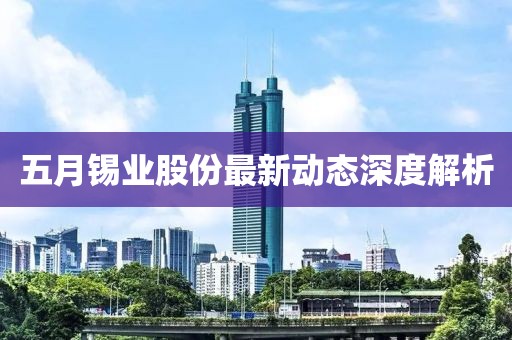 五月锡业股份最新动态深度解析