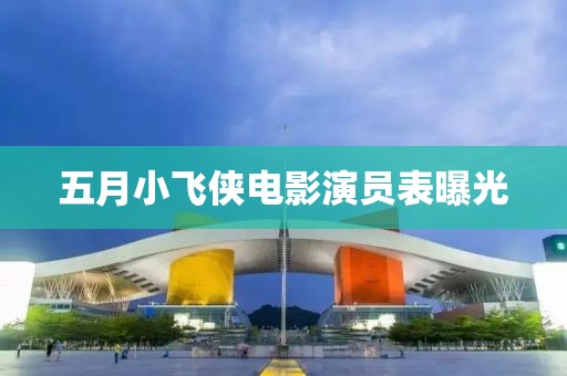 五月小飞侠电影演员表曝光