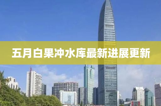 五月白果冲水库最新进展更新