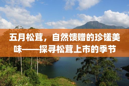 五月松茸，自然馈赠的珍馐美味——探寻松茸上市的季节