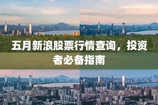 五月新浪股票行情查询，投资者必备指南