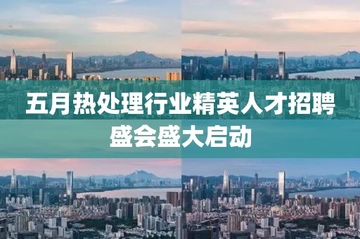 五月热处理行业精英人才招聘盛会盛大启动