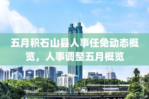 五月积石山县人事任免动态概览，人事调整五月概览