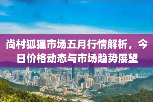 尚村狐狸市场五月行情解析，今日价格动态与市场趋势展望