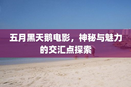 五月黑天鹅电影，神秘与魅力的交汇点探索