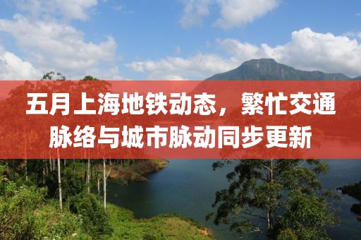 五月上海地铁动态，繁忙交通脉络与城市脉动同步更新