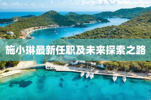 施小琳最新任职及未来探索之路