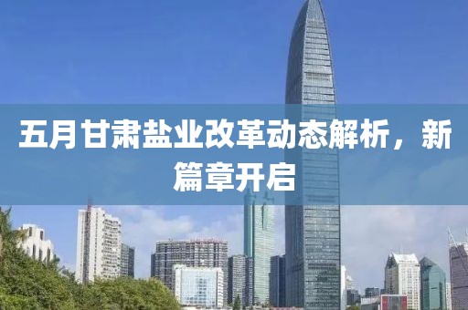 五月甘肃盐业改革动态解析，新篇章开启