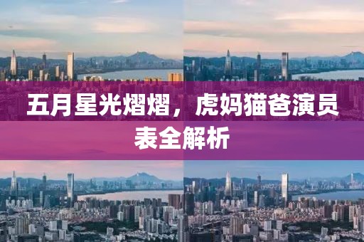 五月星光熠熠，虎妈猫爸演员表全解析