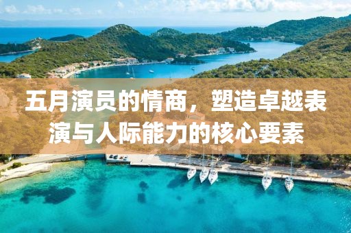 五月演员的情商，塑造卓越表演与人际能力的核心要素