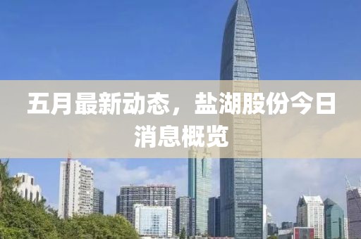 五月最新动态，盐湖股份今日消息概览