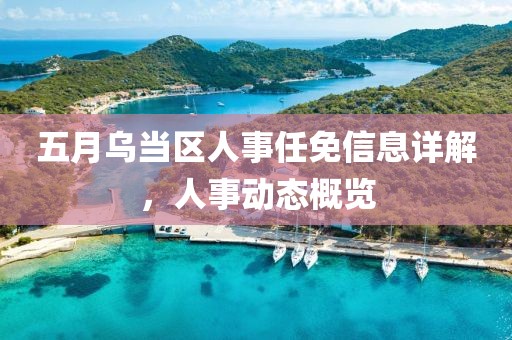 五月乌当区人事任免信息详解，人事动态概览