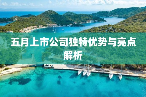 五月上市公司独特优势与亮点解析