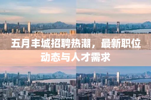 五月丰城招聘热潮，最新职位动态与人才需求