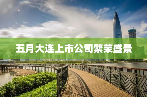 五月大连上市公司繁荣盛景