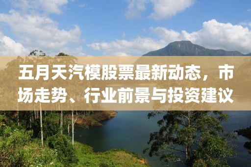 五月天汽模股票最新动态，市场走势、行业前景与投资建议