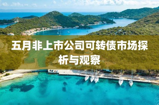五月非上市公司可转债市场探析与观察