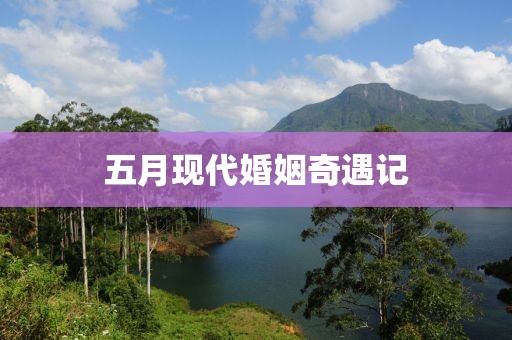 五月现代婚姻奇遇记