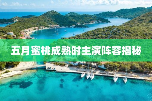 五月蜜桃成熟时主演阵容揭秘