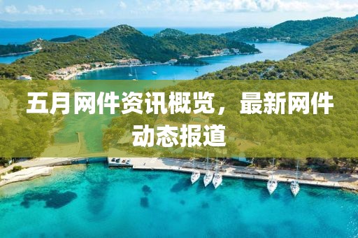五月网件资讯概览，最新网件动态报道