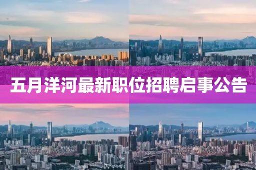 五月洋河最新职位招聘启事公告