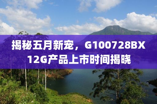 揭秘五月新宠，G100728BX12G产品上市时间揭晓