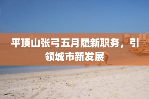 平顶山张弓五月履新职务，引领城市新发展