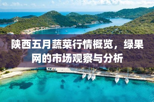 陕西五月蔬菜行情概览，绿果网的市场观察与分析