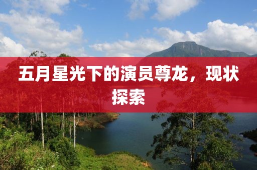五月星光下的演员尊龙，现状探索