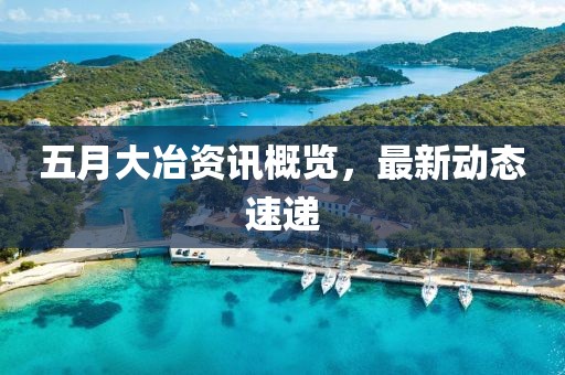 五月大冶资讯概览，最新动态速递