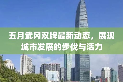 五月武冈双牌最新动态，展现城市发展的步伐与活力