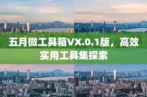 五月微工具箱VX.0.1版，高效实用工具集探索