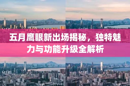五月鹰眼新出场揭秘，独特魅力与功能升级全解析