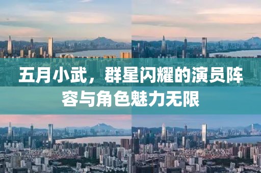 五月小武，群星闪耀的演员阵容与角色魅力无限