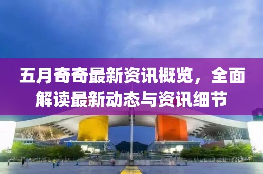 五月奇奇最新资讯概览，全面解读最新动态与资讯细节