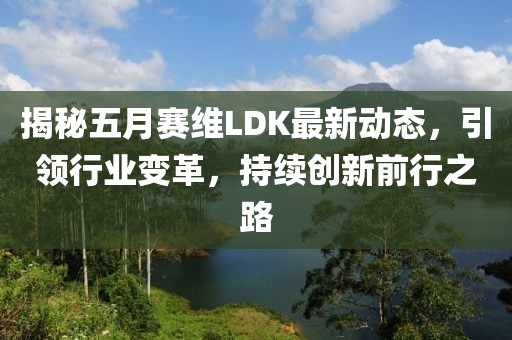 揭秘五月赛维LDK最新动态，引领行业变革，持续创新前行之路