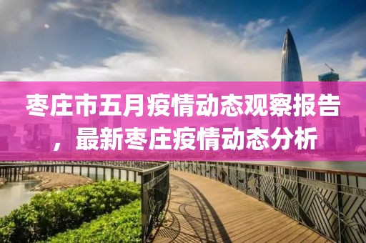 枣庄市五月疫情动态观察报告，最新枣庄疫情动态分析