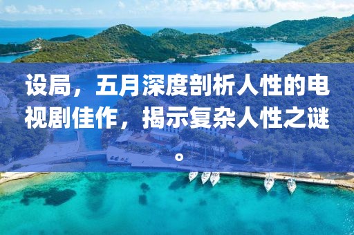 设局，五月深度剖析人性的电视剧佳作，揭示复杂人性之谜。