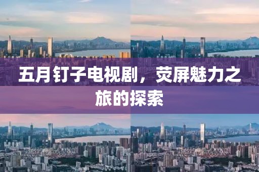 五月钉子电视剧，荧屏魅力之旅的探索
