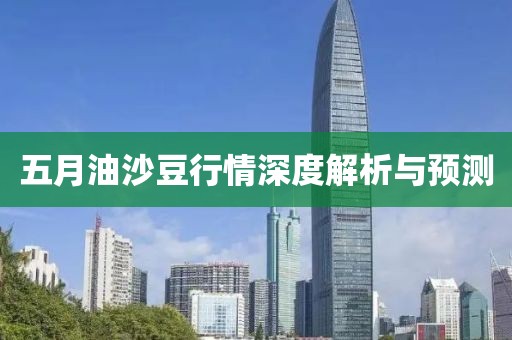 五月油沙豆行情深度解析与预测